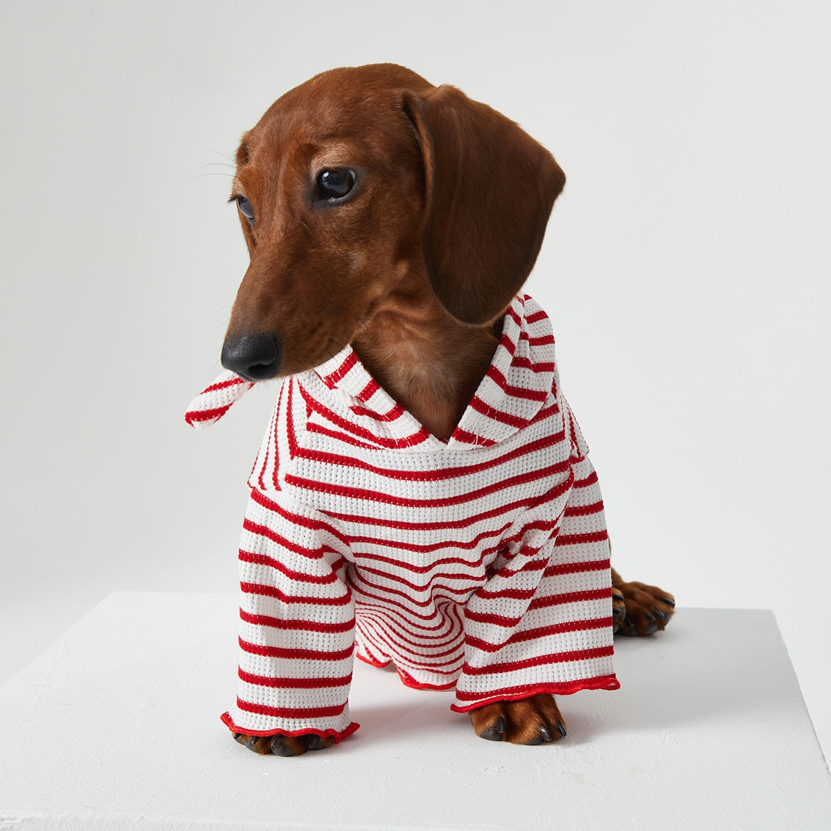 KFX-2256829 Striped Hooded Pet Apparel for Cats and Dogs - Two Feet Design, Available in Red and Blue, Multiple Sizes
