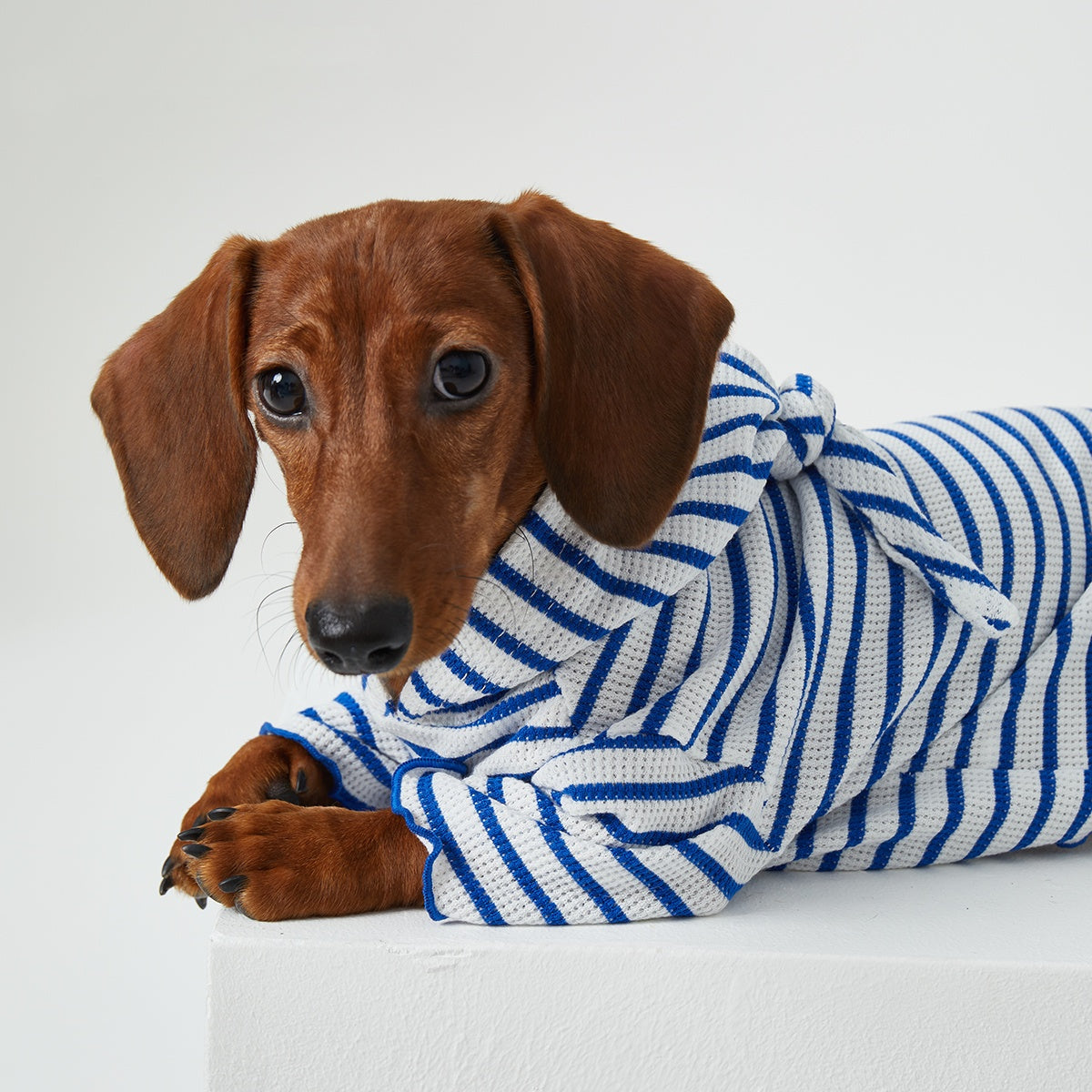 KFX-2256829 Striped Hooded Pet Apparel for Cats and Dogs - Two Feet Design, Available in Red and Blue, Multiple Sizes