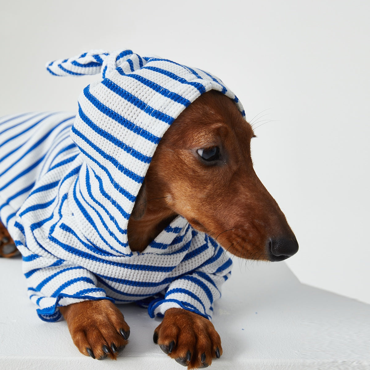 KFX-2256829 Striped Hooded Pet Apparel for Cats and Dogs - Two Feet Design, Available in Red and Blue, Multiple Sizes
