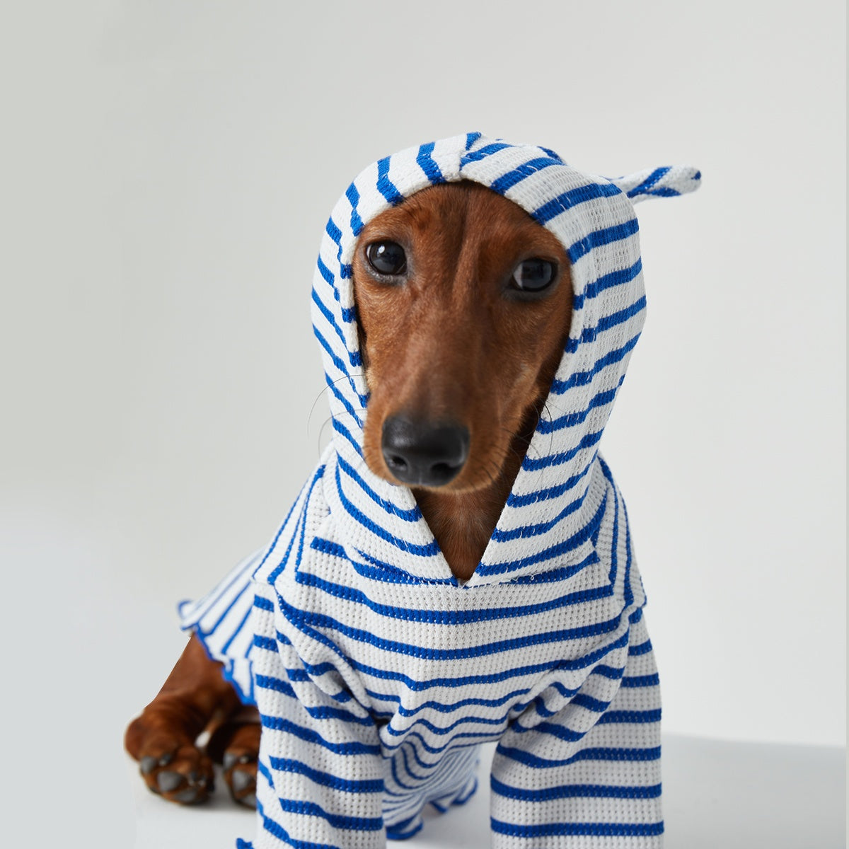 KFX-2256829 Striped Hooded Pet Apparel for Cats and Dogs - Two Feet Design, Available in Red and Blue, Multiple Sizes