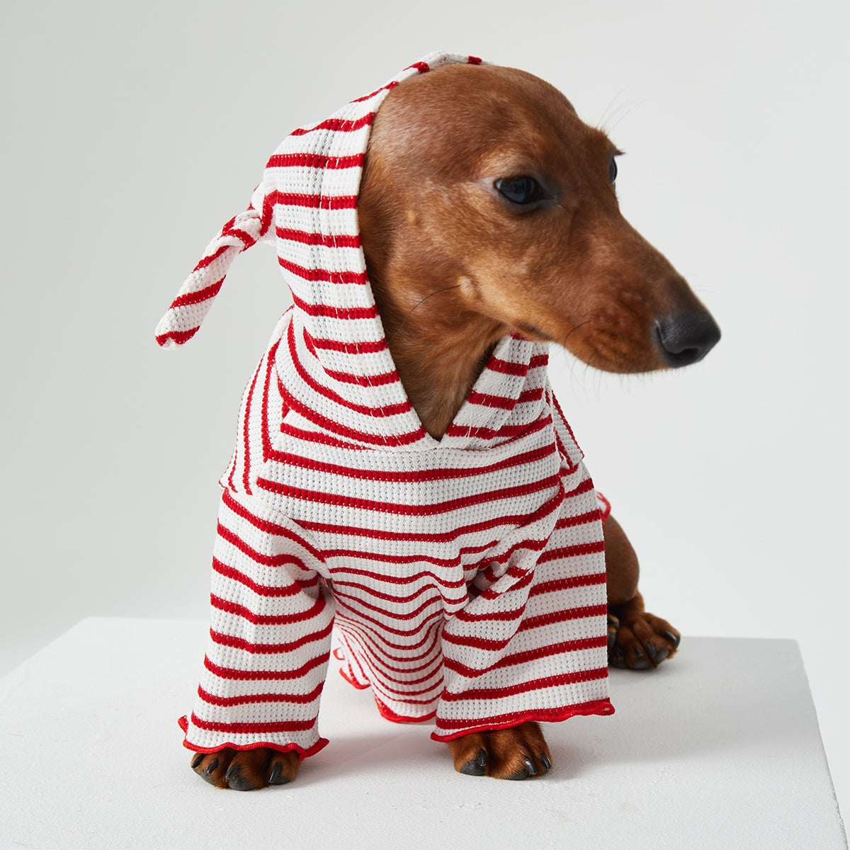 KFX-2256829 Striped Hooded Pet Apparel for Cats and Dogs - Two Feet Design, Available in Red and Blue, Multiple Sizes