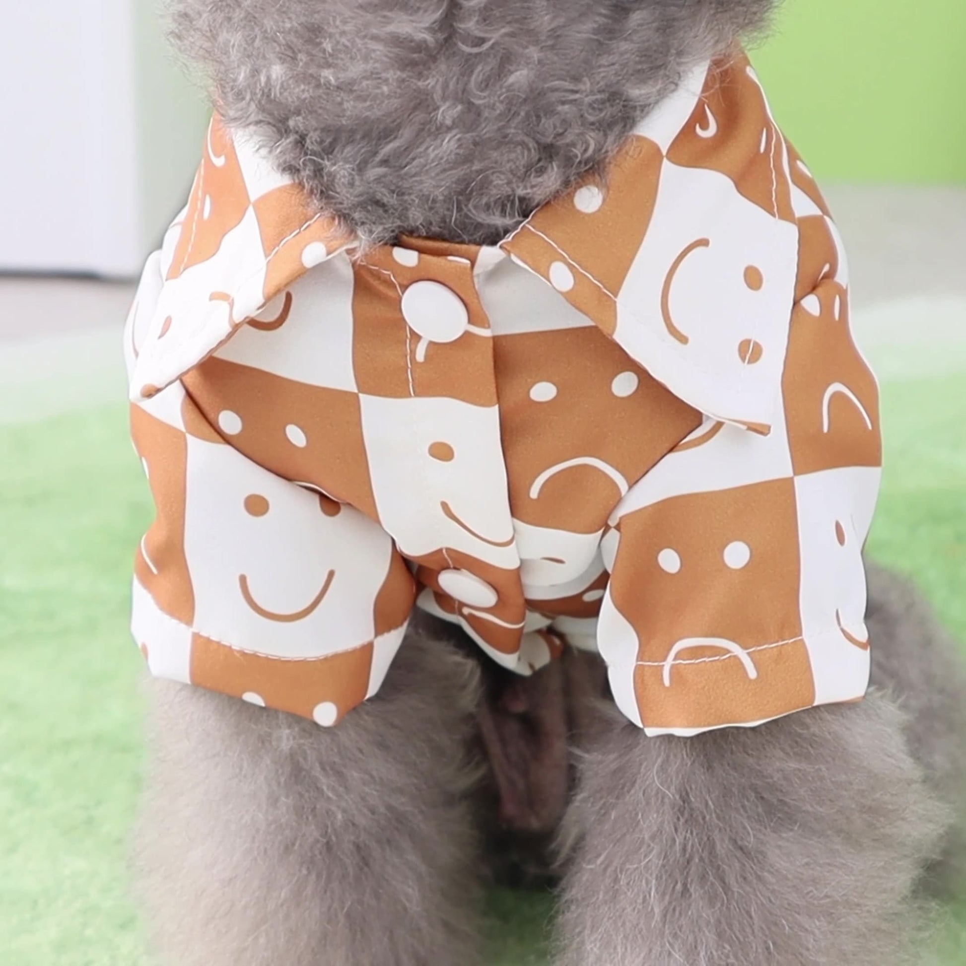 KFX-2270141 Casual Checkered Dog Shirt for All Sizes in Black and Brown