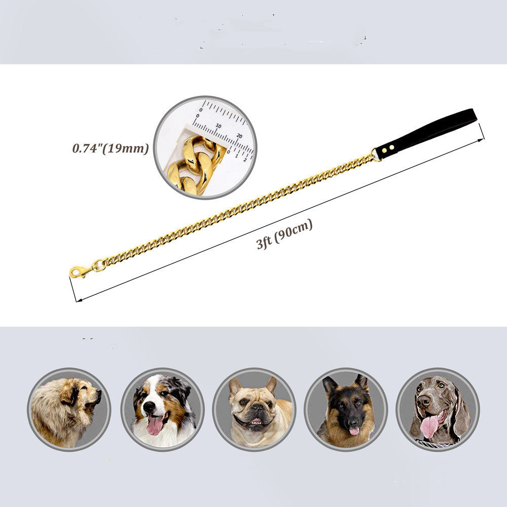 KFX-2271549 Golden Stainless Steel Pet Dog Leash for Small to Medium Breeds