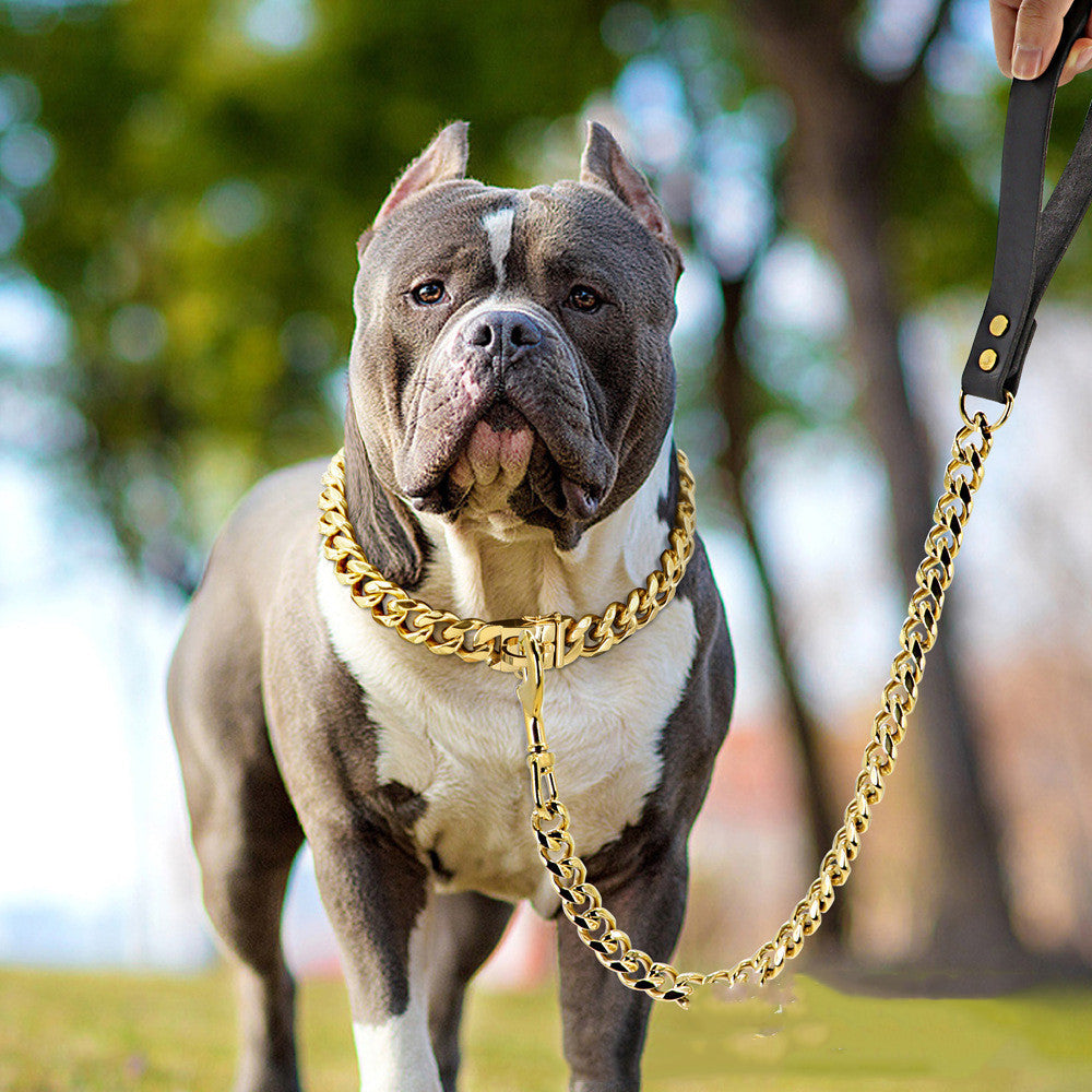 KFX-2271549 Golden Stainless Steel Pet Dog Leash for Small to Medium Breeds