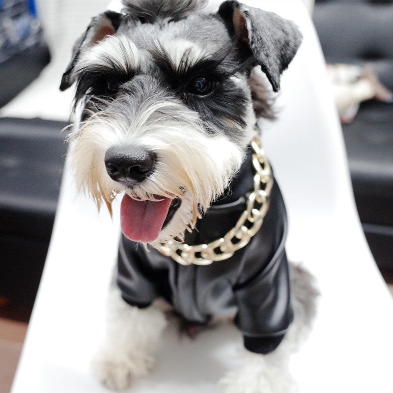 KFX-2275901 Velvet Zipper Stretch PU Leather Dog Clothes for Schnauzers - Black, Two-Legged Design