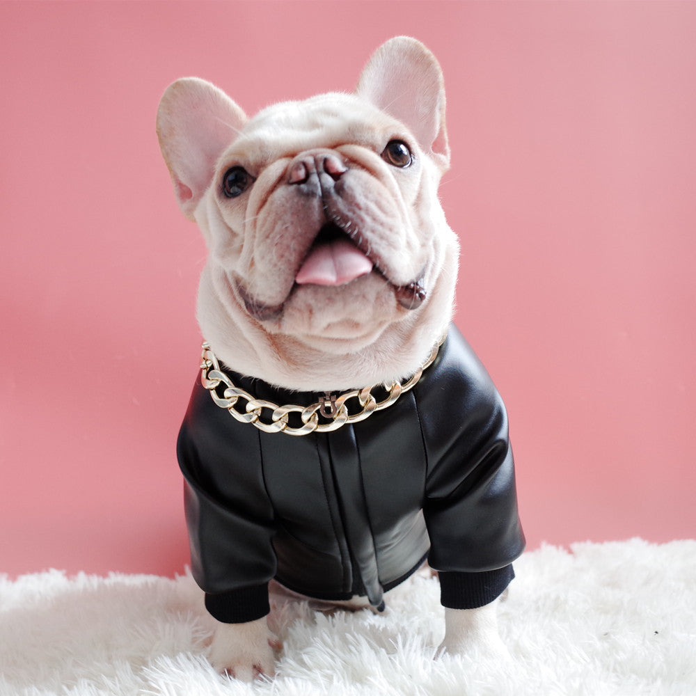 KFX-2275901 Velvet Zipper Stretch PU Leather Dog Clothes for Schnauzers - Black, Two-Legged Design