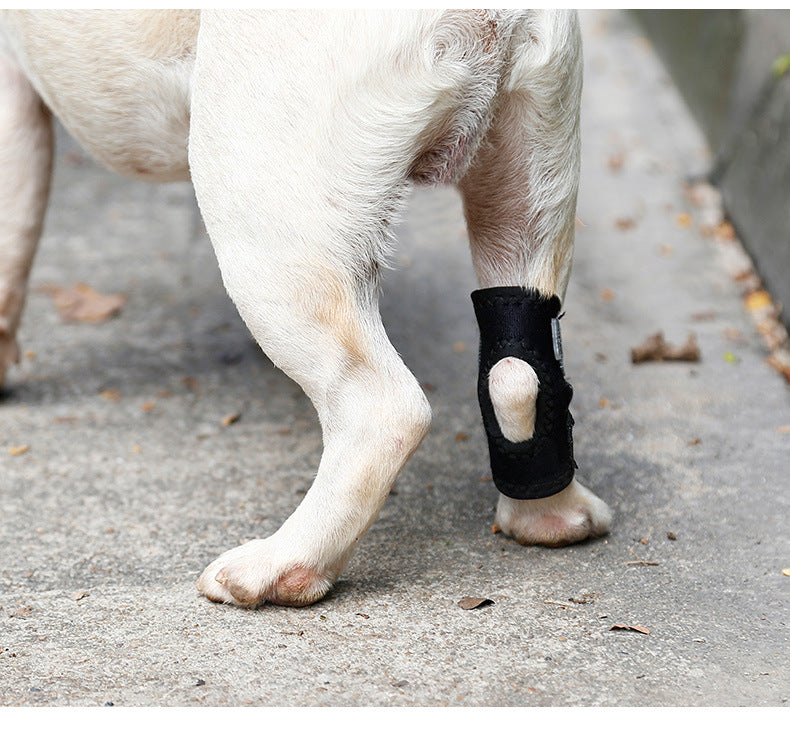 KFX-2285501 Anti-Lick Joint Fixation Recovery Strap for Dogs - Durable Diving Material in Black