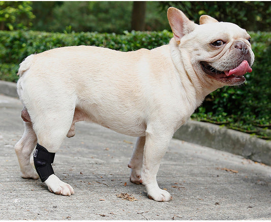 KFX-2285501 Anti-Lick Joint Fixation Recovery Strap for Dogs - Durable Diving Material in Black