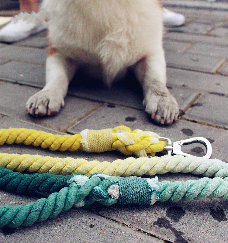 KFX-2292797 Hand-Woven Cotton Dog Walking Leash - 100CM, Colorful Hawaiian Design