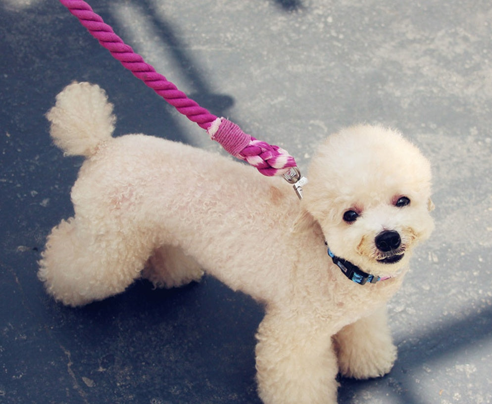 KFX-2292797 Hand-Woven Cotton Dog Walking Leash - 100CM, Colorful Hawaiian Design