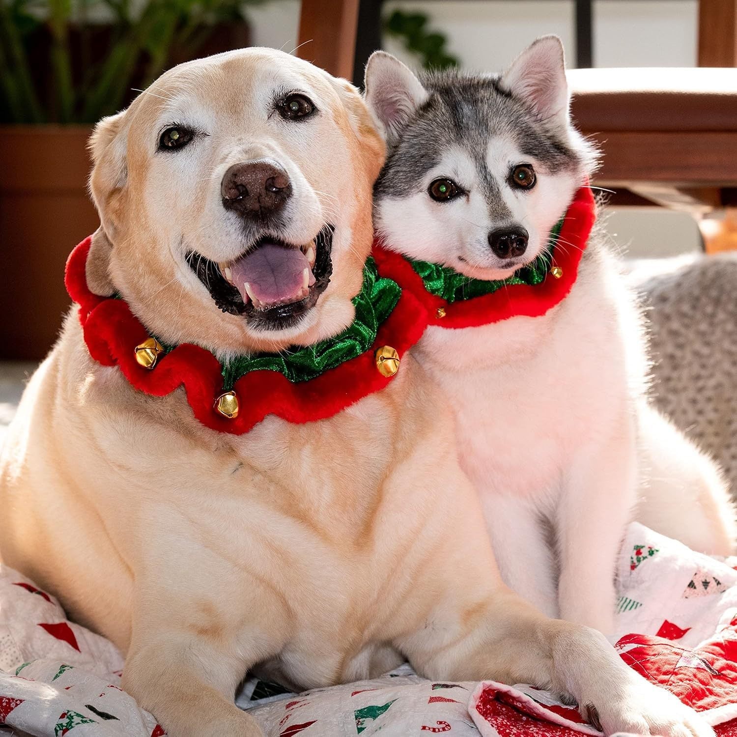 KFX-2302525 Christmas Dog Collar with Bells and Ornaments - Soft Holiday Neckwear for Small to Large Dogs