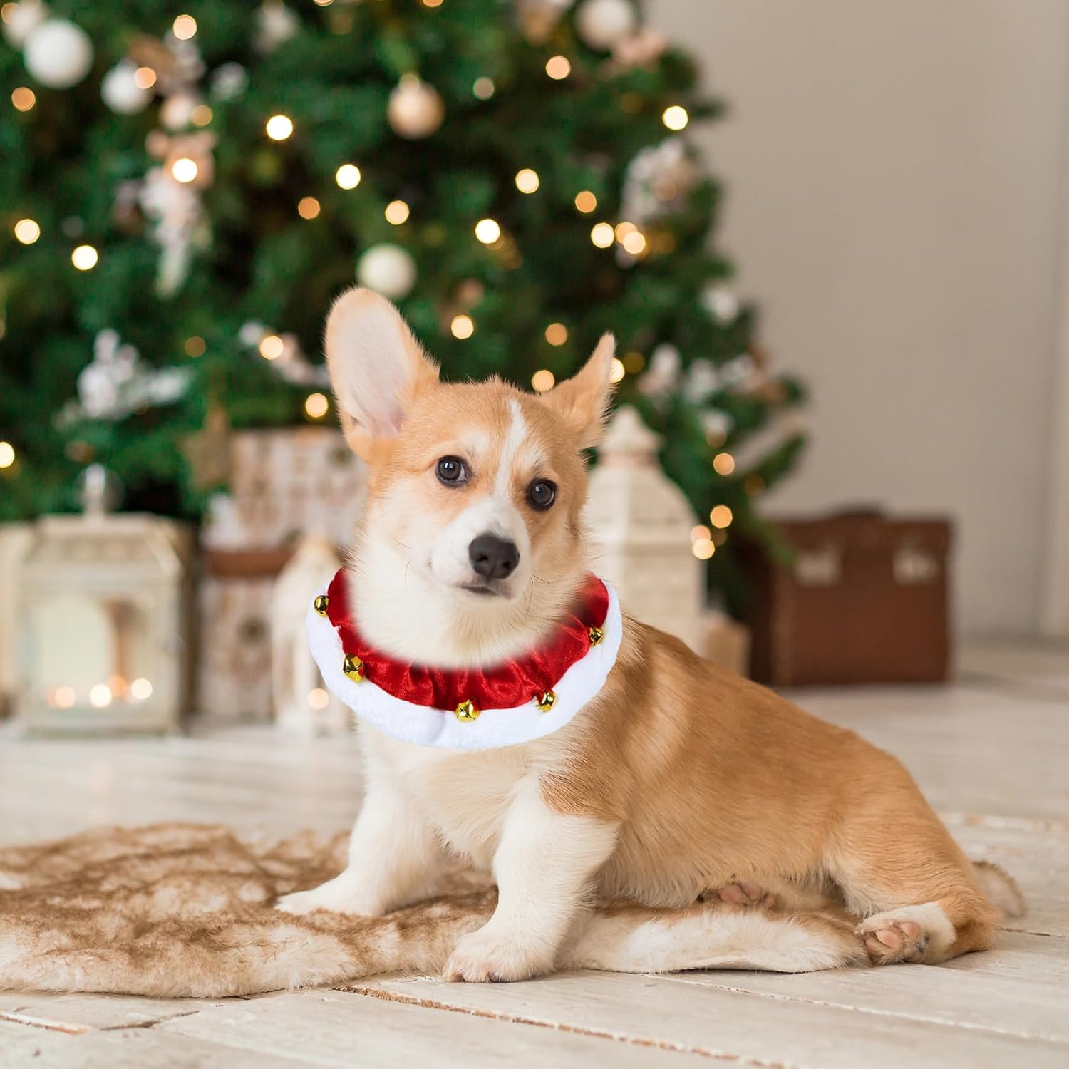 KFX-2302525 Christmas Dog Collar with Bells and Ornaments - Soft Holiday Neckwear for Small to Large Dogs