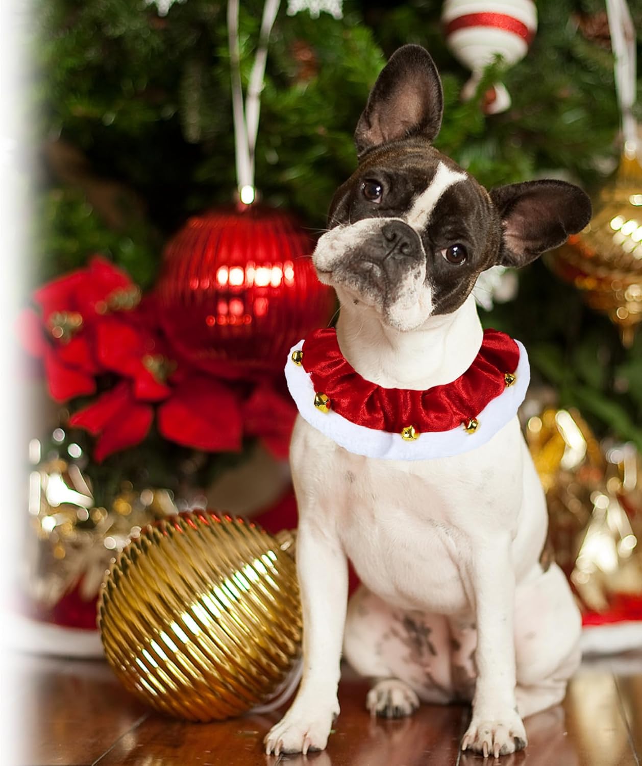 KFX-2302525 Christmas Dog Collar with Bells and Ornaments - Soft Holiday Neckwear for Small to Large Dogs
