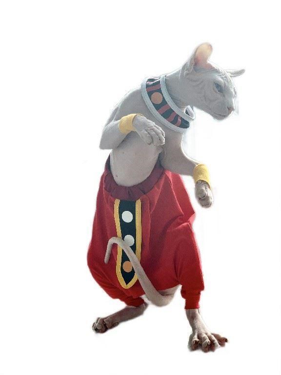 KFX-2322365 Trendy Blue Cat Clothes for Hairless Cats - Comfortable Cotton Suit for All Ages