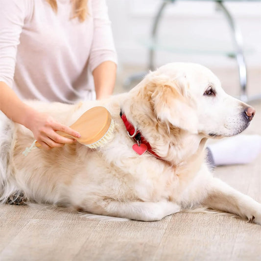 KFX-2340541 Pet Grooming Shower Brush with Wooden Handle and Natural Bristles for Dogs and Cats