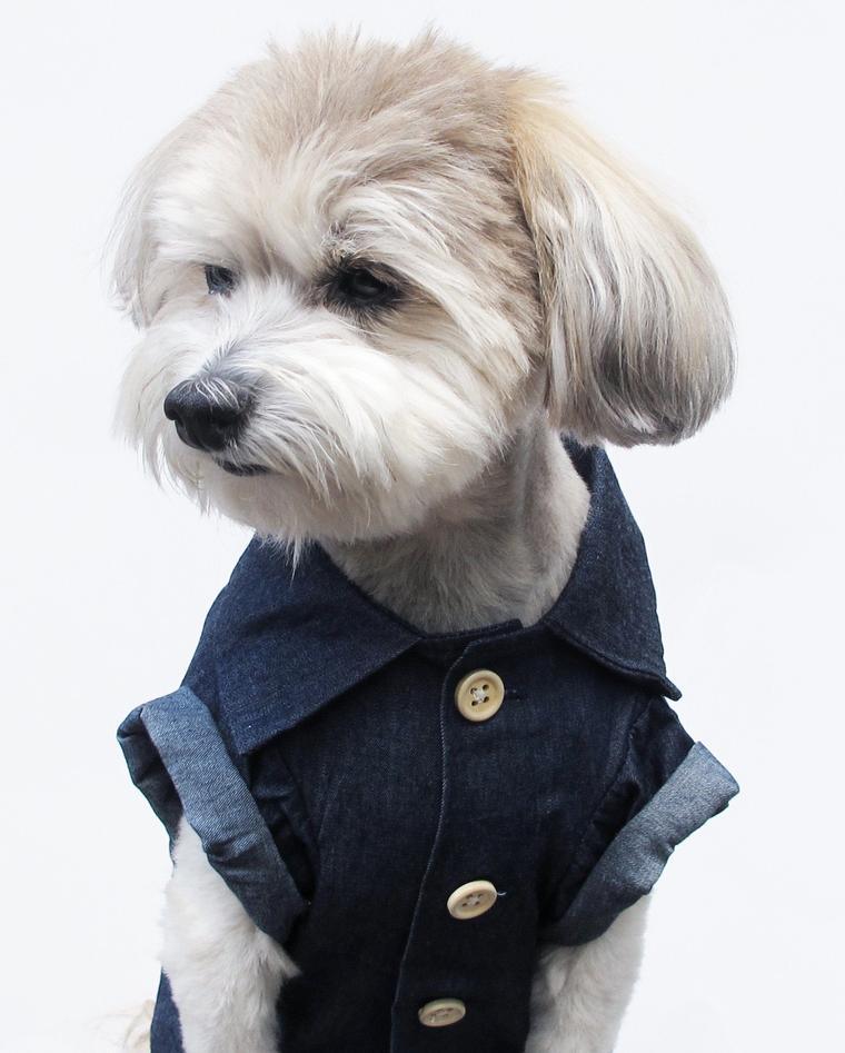 KFX-2341437 Summer Printed Cotton Shirts for Small Dogs - Green Leaf, Banana, Denim - Multiple Sizes Available