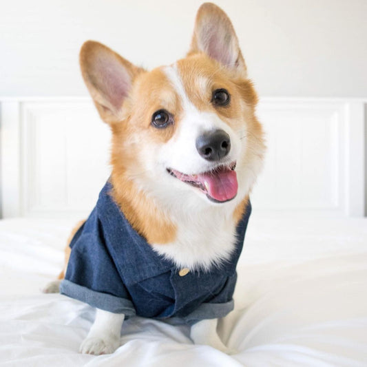 KFX-2341437 Summer Printed Cotton Shirts for Small Dogs - Green Leaf, Banana, Denim - Multiple Sizes Available