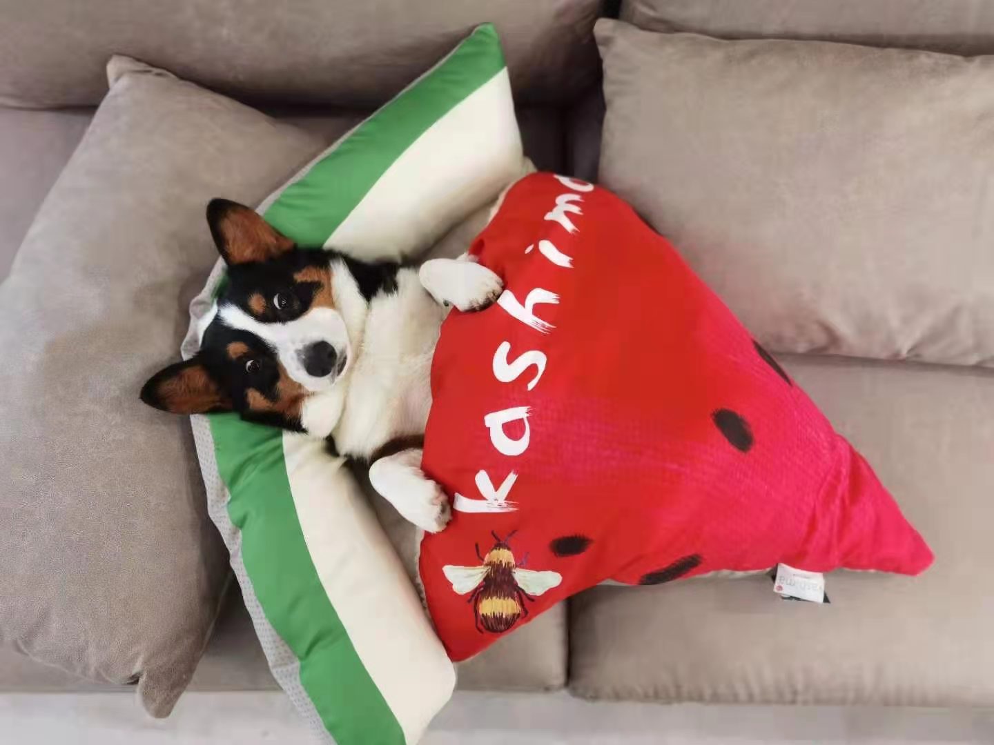 KFX-2348861 Cozy Pizza Pet Sleeping Bag for Cats and Dogs - Four Seasons - 90cm x 80cm