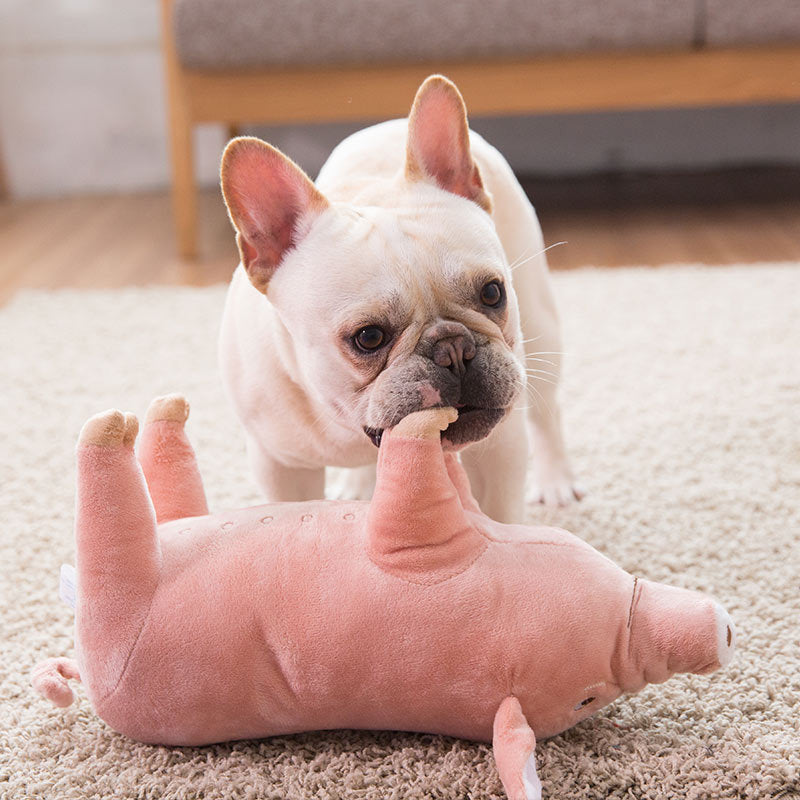KFX-2349629 Sleeping Pig Plush Toy - Various Sizes Available