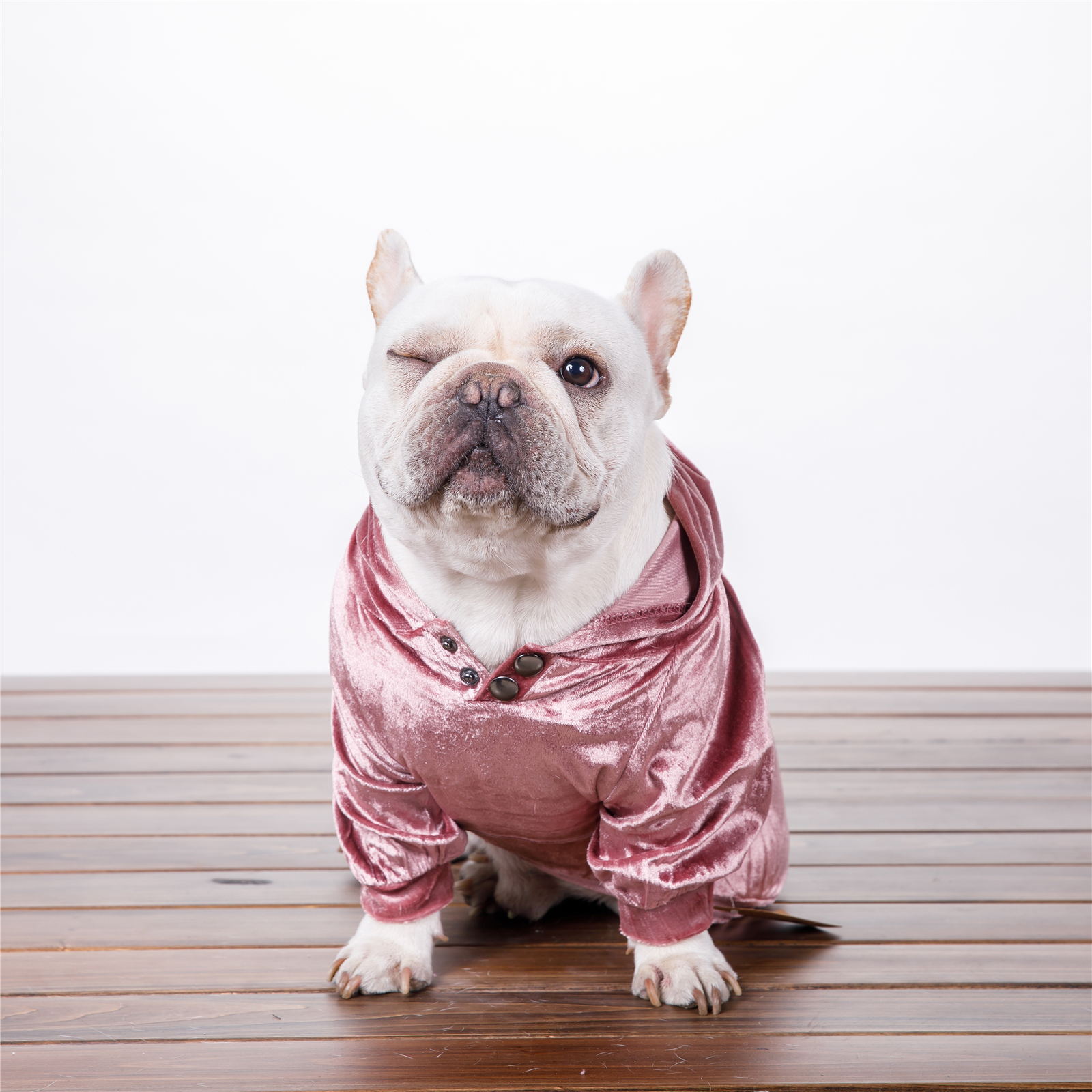 KFX-2359613 Dense Velvet Hooded Sweater for Dogs - Cozy Casual Apparel in Red, Pink, Gray - Sizes XS to XXL