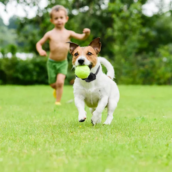 KFX-2359997 Wireless Electric Dog Fence System with Adjustable Shock Collar for Small to Large Dogs