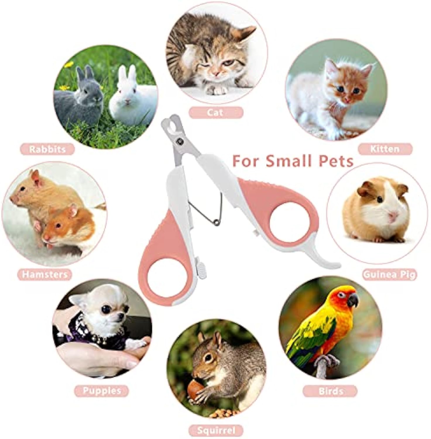 KFX-2361789 Cat Nail Clippers with Safety Guard and Sharp Angled Blade for Kittens, Small Dogs, Birds, Rabbits, and Ferrets