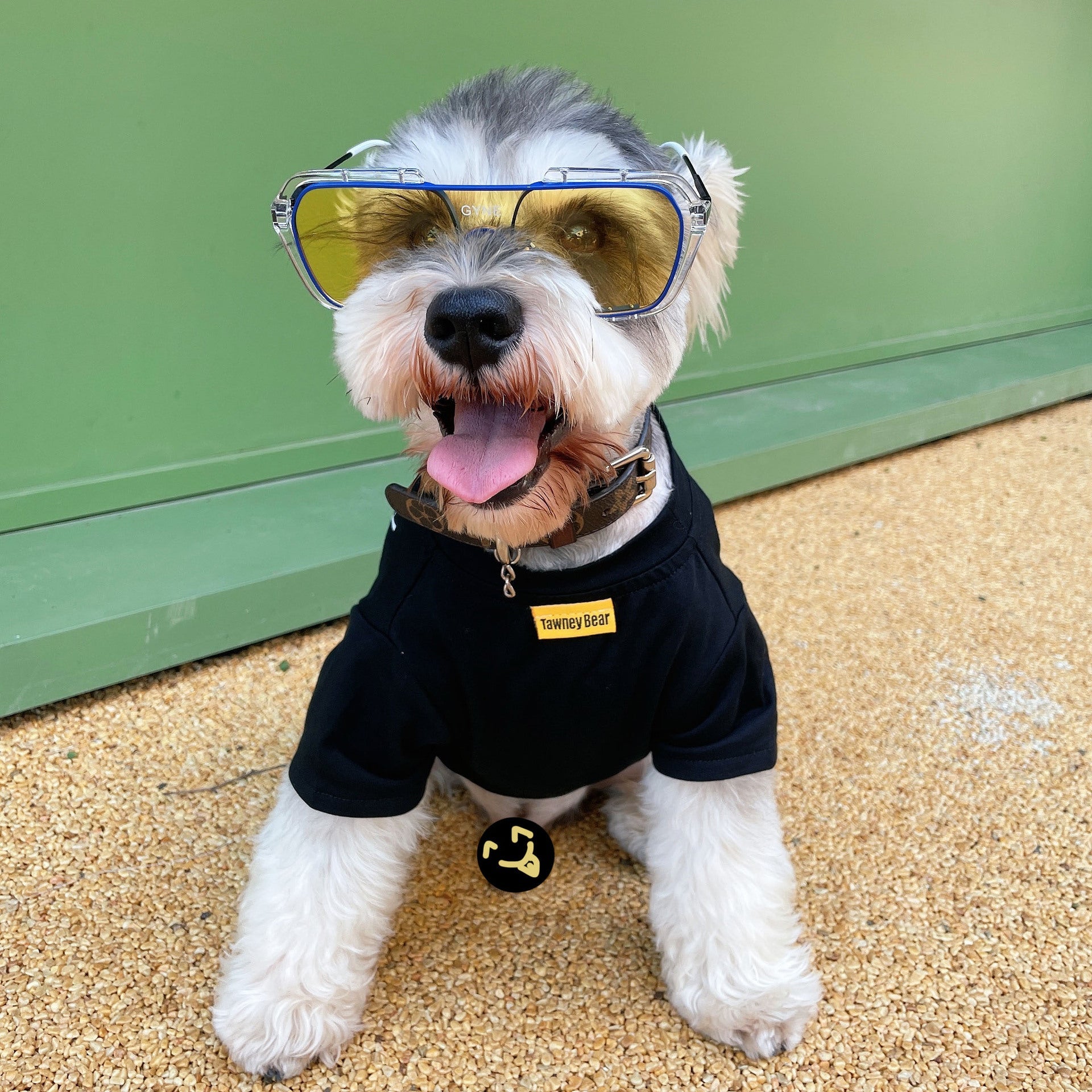 KFX-2362685 Breathable Cotton T-Shirt for Pets - Casual Black and White Design