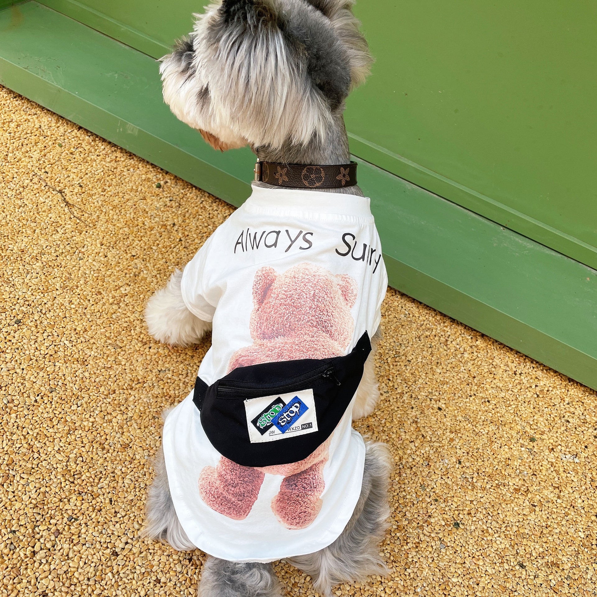 KFX-2362685 Breathable Cotton T-Shirt for Pets - Casual Black and White Design