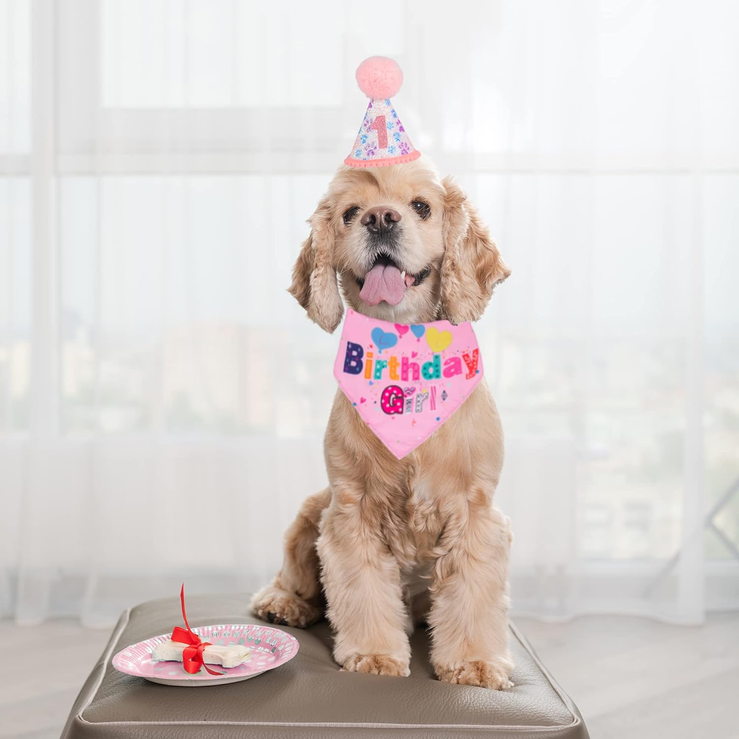 KFX-2367549 Dog Birthday Party Supplies - Fun Birthday Hat with Numbers and Bandana for Puppies
