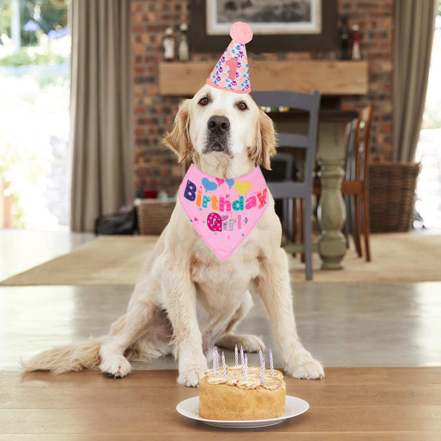 KFX-2367549 Dog Birthday Party Supplies - Fun Birthday Hat with Numbers and Bandana for Puppies