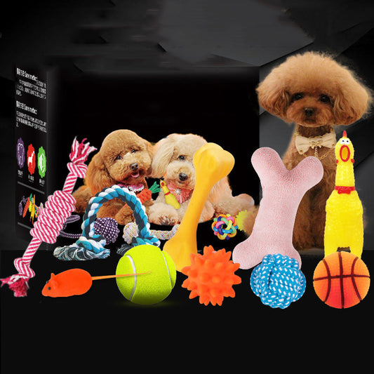 KFX-2368701 Vocal Dog Toy Set - Assorted Colors Rubber Toys for Chewing and Play