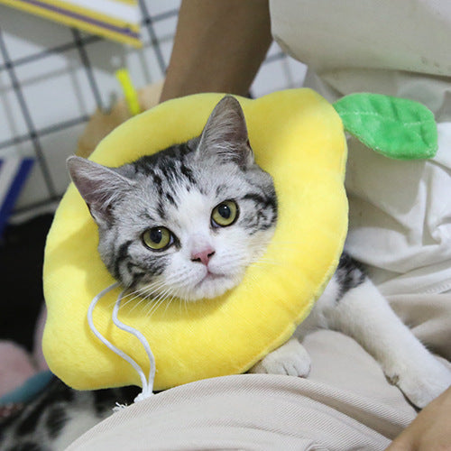 KFX-2372285 Anti-Licking Recovery Collar for Cats - Soft Cotton Headgear for Comfort and Protection
