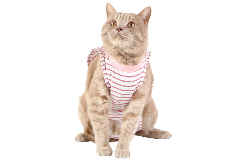 KFX-2374205 Surgical Recovery Clothes for Female Cats - Breathable Weaning Gown in Multiple Colors