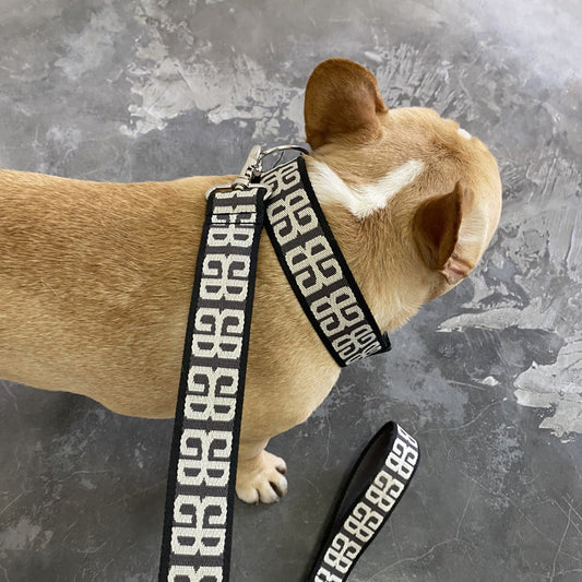 KFX-2375613 Durable Nylon Dog Rope with Collar and Chest Strap for Small to Medium Breeds