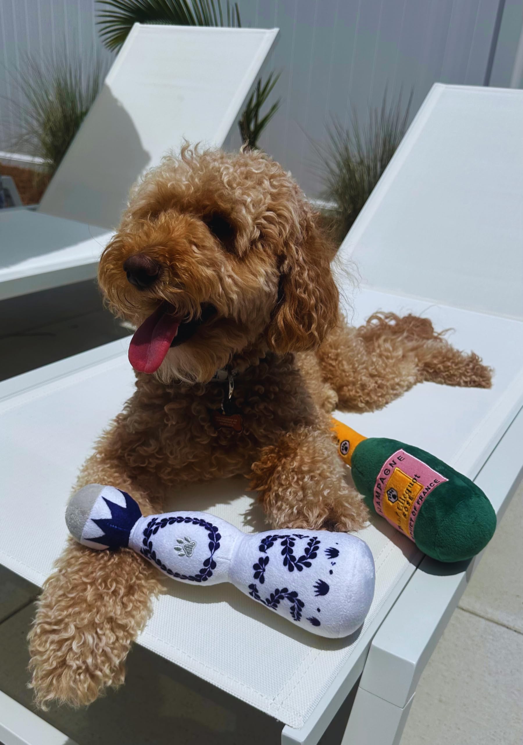 KFX-2379069 Tequila Bottle Plush Dog Toy with Squeaker - Fun and Soft for All Dog Sizes