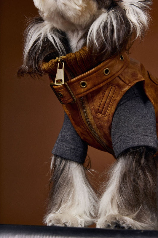KFX-2380349 Schnauzer Teddy Bichon Retro Sleeveless Leather Vest for Pets - Size XS to XXL