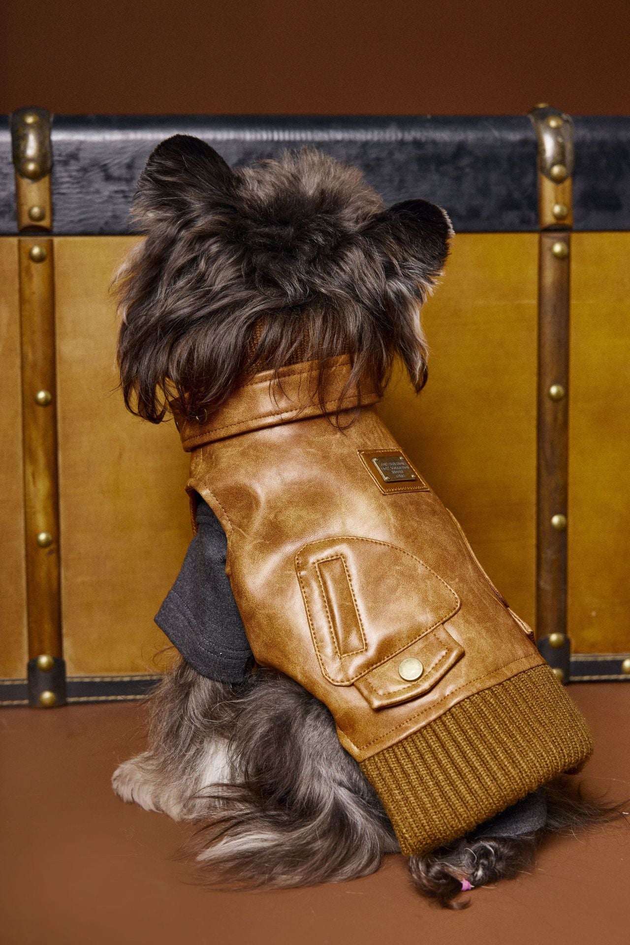 KFX-2380349 Schnauzer Teddy Bichon Retro Sleeveless Leather Vest for Pets - Size XS to XXL