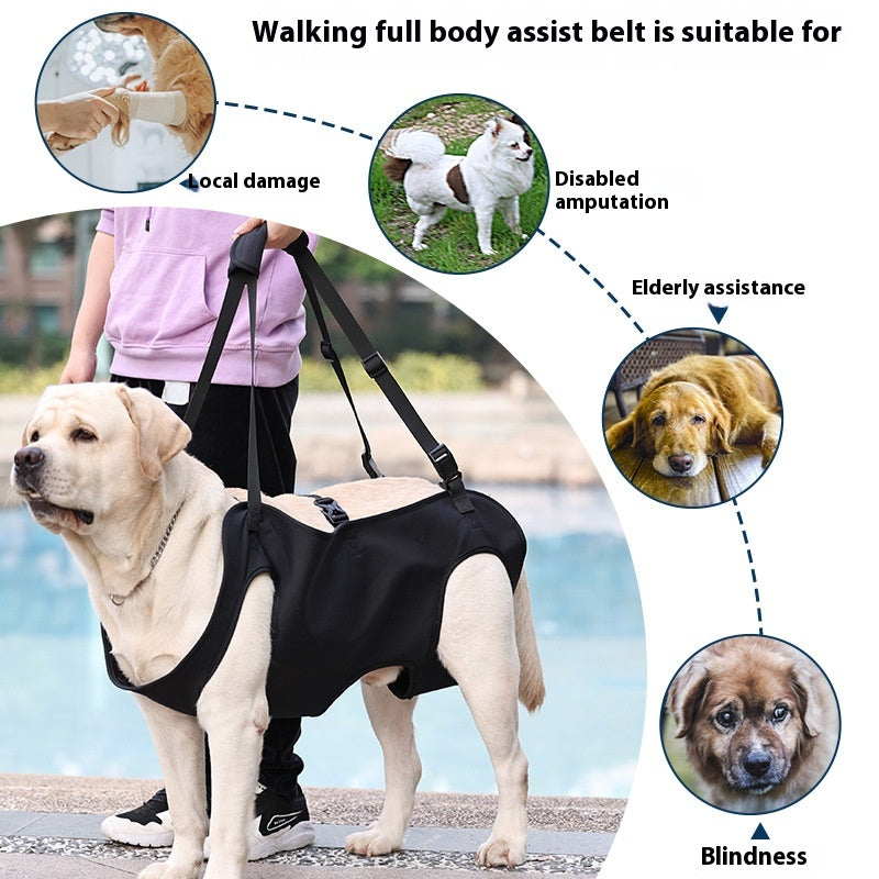 KFX-2380861 Oxford Cloth Dog Travel Auxiliary Strap - Durable Pet Chain Ring in Black