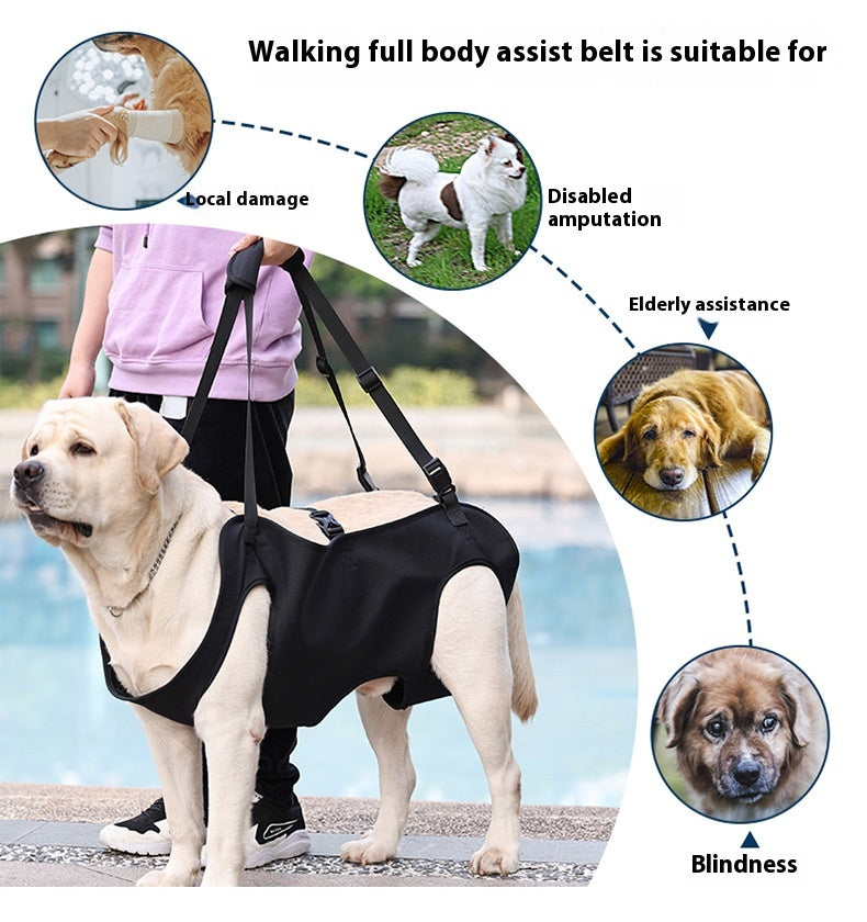 KFX-2380861 Oxford Cloth Dog Travel Auxiliary Strap - Durable Pet Chain Ring in Black