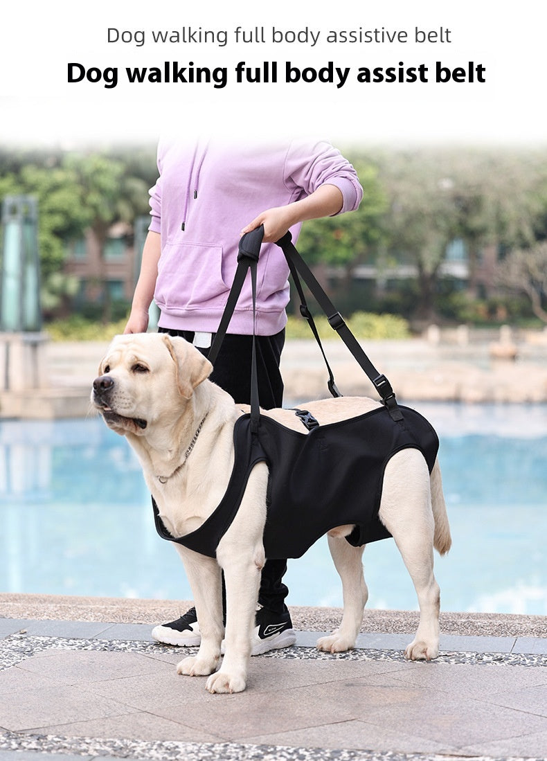 KFX-2380861 Oxford Cloth Dog Travel Auxiliary Strap - Durable Pet Chain Ring in Black
