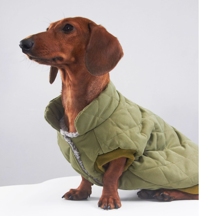 KFX-2386109 Diamond Lattice Cotton-Padded Winter Clothes for Corgis and Small Dogs - Casual Outdoor Style