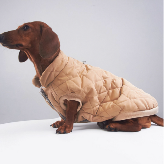 KFX-2386109 Diamond Lattice Cotton-Padded Winter Clothes for Corgis and Small Dogs - Casual Outdoor Style