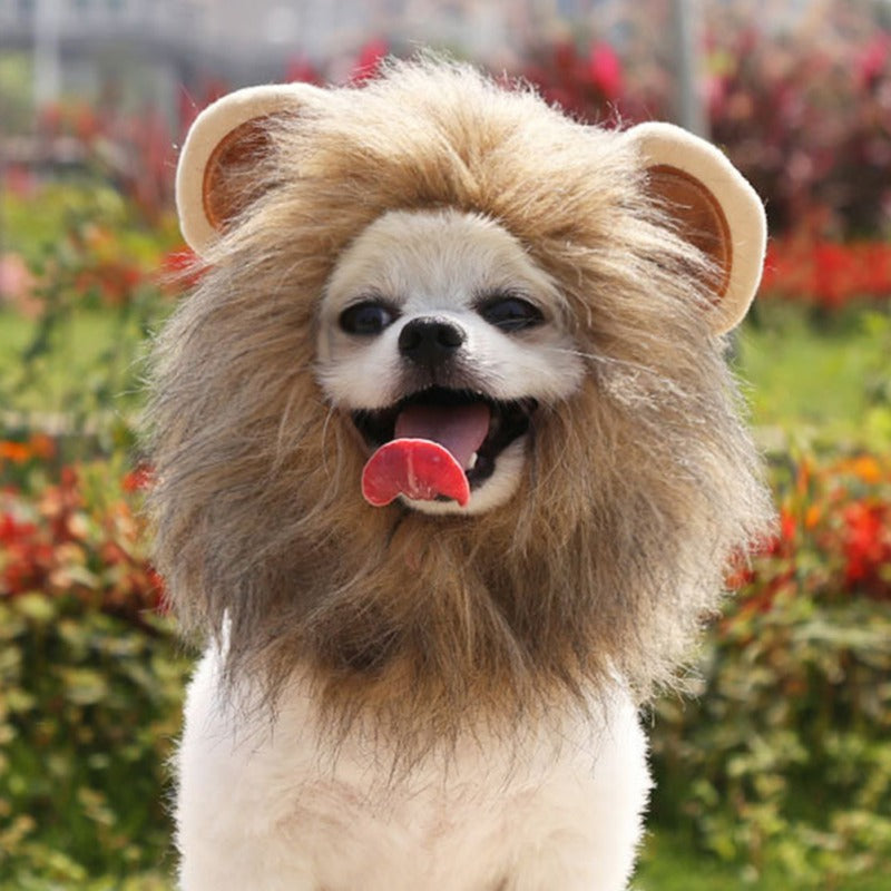 KFX-2386365 Pet Lion Mane Hat for Cats and Small Dogs - Funny Costume for Halloween and Festivals