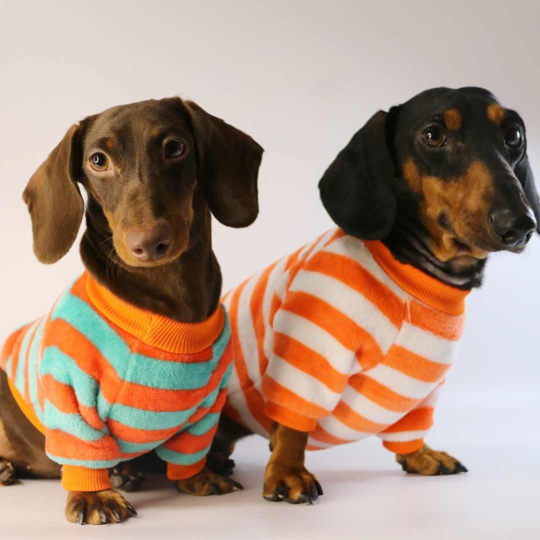 KFX-2386621 Casual Round Neck Sweatshirt for Pets - Warm Orange Red and White Stripes or Green Stripe