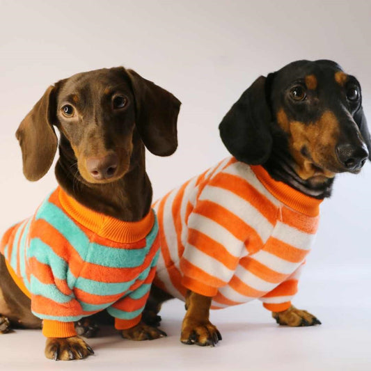 KFX-2386621 Casual Round Neck Sweatshirt for Pets - Warm Orange Red and White Stripes or Green Stripe