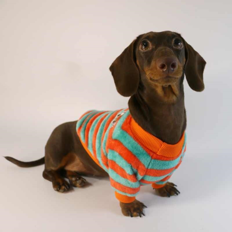 KFX-2386621 Casual Round Neck Sweatshirt for Pets - Warm Orange Red and White Stripes or Green Stripe
