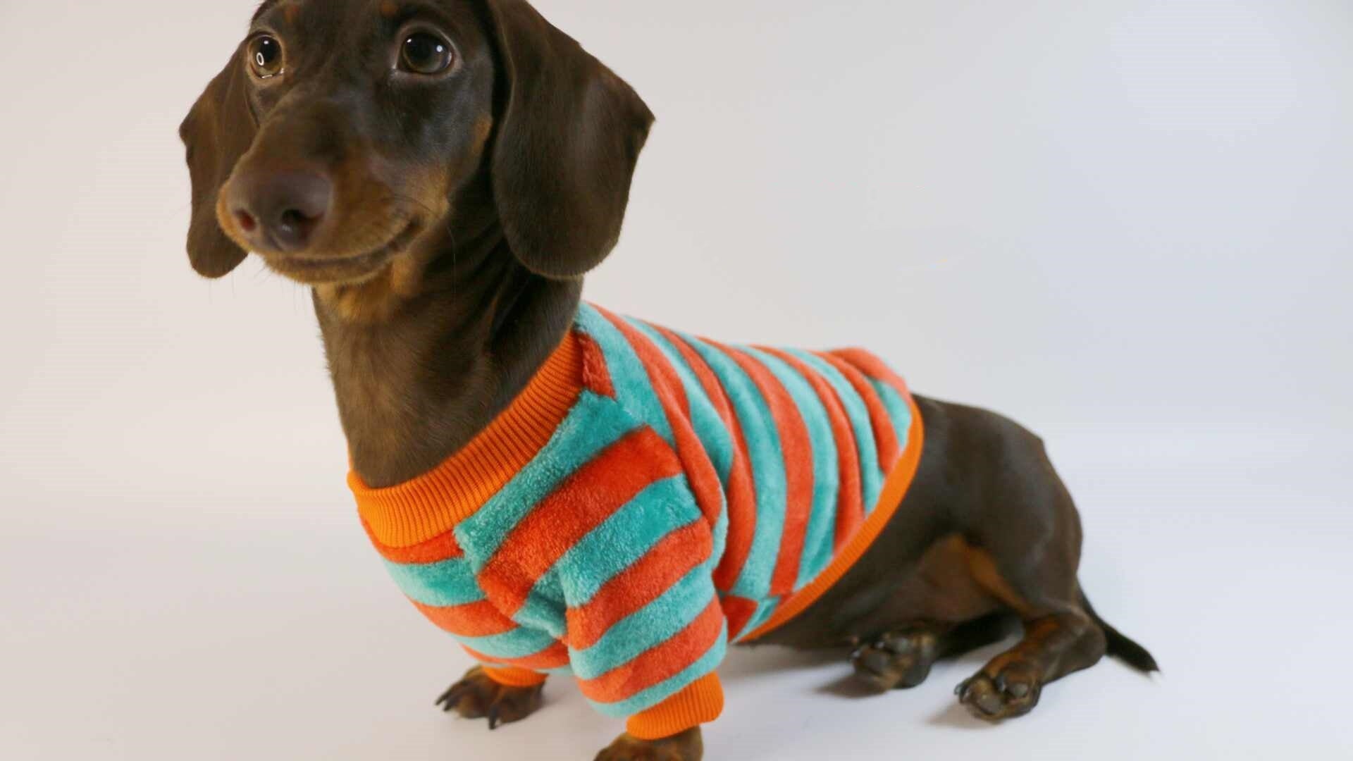 KFX-2386621 Casual Round Neck Sweatshirt for Pets - Warm Orange Red and White Stripes or Green Stripe