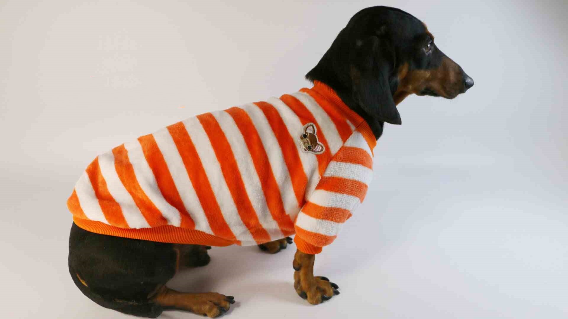 KFX-2386621 Casual Round Neck Sweatshirt for Pets - Warm Orange Red and White Stripes or Green Stripe