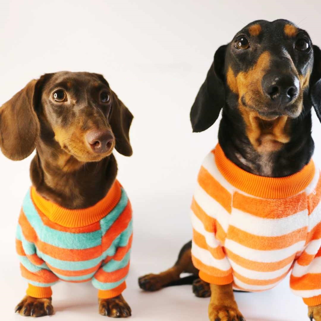 KFX-2386621 Casual Round Neck Sweatshirt for Pets - Warm Orange Red and White Stripes or Green Stripe