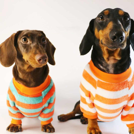 KFX-2386621 Casual Round Neck Sweatshirt for Pets - Warm Orange Red and White Stripes or Green Stripe